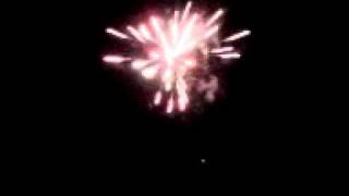 VID-20110704-00018