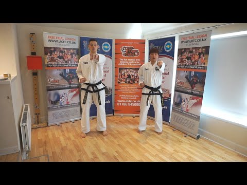 Parallel Stance Punches
