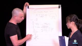 The HOSHIN KANRI TREE. Cross-Plant Lean Shop Floor Management