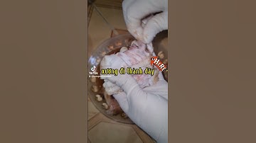 chà Bông Cá Lóc - Món ăn tết cho bé khỏe mẹ xinh #vaobepcungoanh #2023 #tetnguyendan #chabong