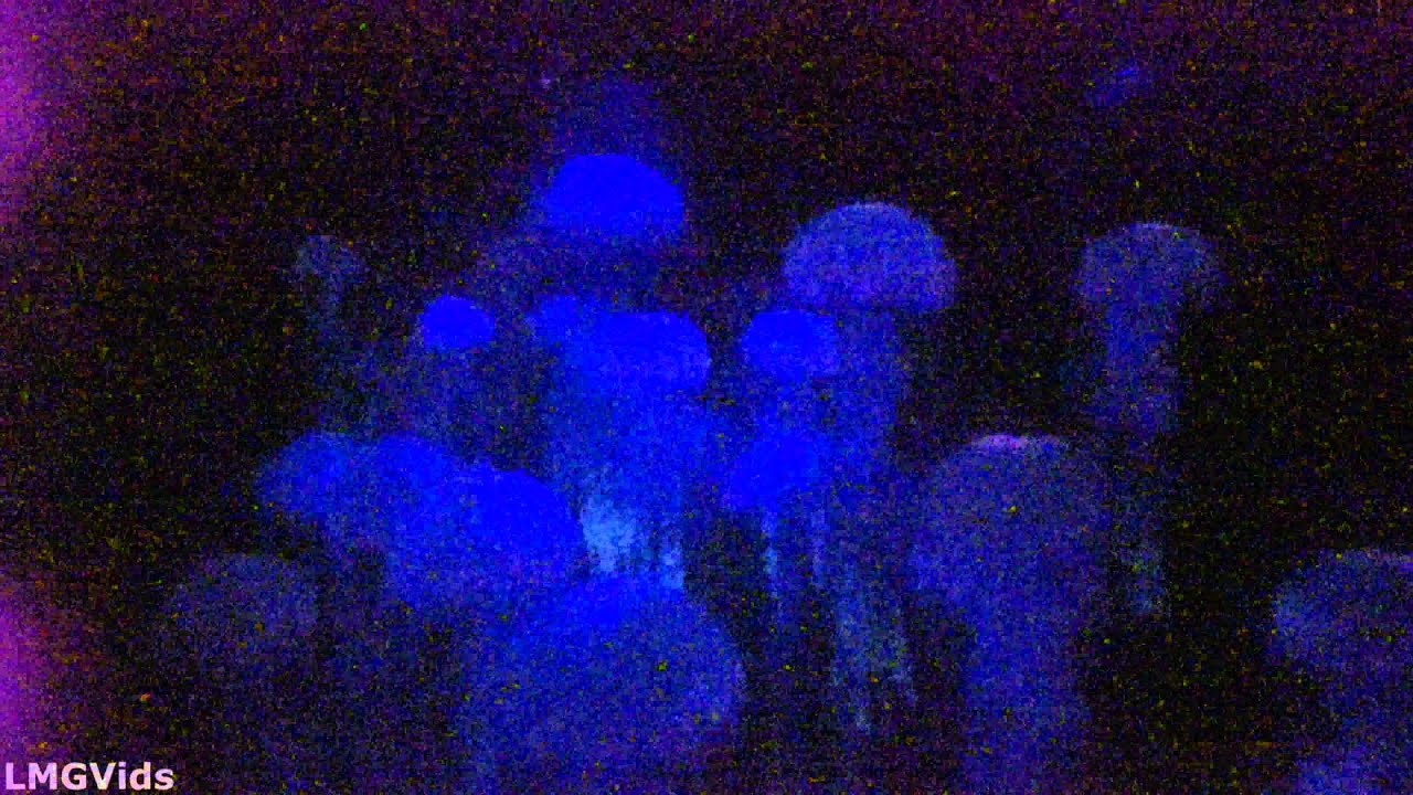 [4K] LOW LIGHT 2015 В поисках Немо: Подводная лодка. Полное прохождение от первого лица