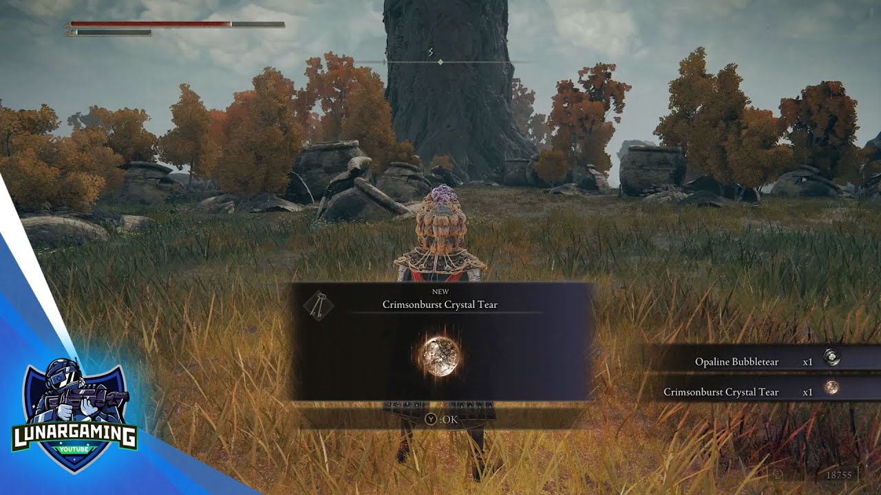 How To Get opaline Bubbletear & Crimsonburst Crystal Tear Elden Ring