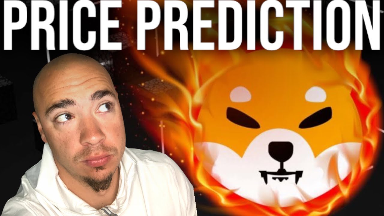 SHIBA INU COIN PRICE PREDICTION (JANUARY 2023) YouTube