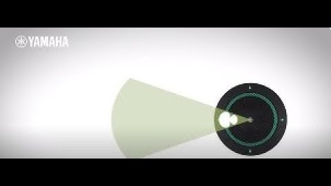 ADECIA with RM-TT - Hyper-Cardioid