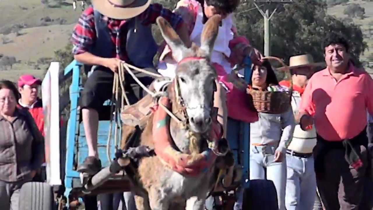 Huasos del Limari, entrada