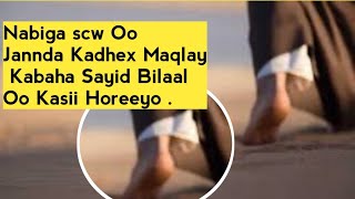 Nabiga scw Oo Jannda Kadhex Maqlay Kabaha Sayid Bilaal Oo Kasii Horeeyo , Ogoow Sirta Sayid Bilaal.