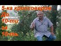 5-ка кроссоверов "ДО 10-ти ЗА 10-ть" добротные кроссоверы (малые внед-ки), не старые, не дорогие.