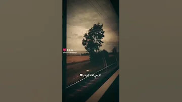 ستوريات للمعلق يا سلام واذا لم التقيك يوم الوداع فخذ مني هذا الوداع 