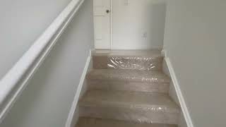 IMG 7015
