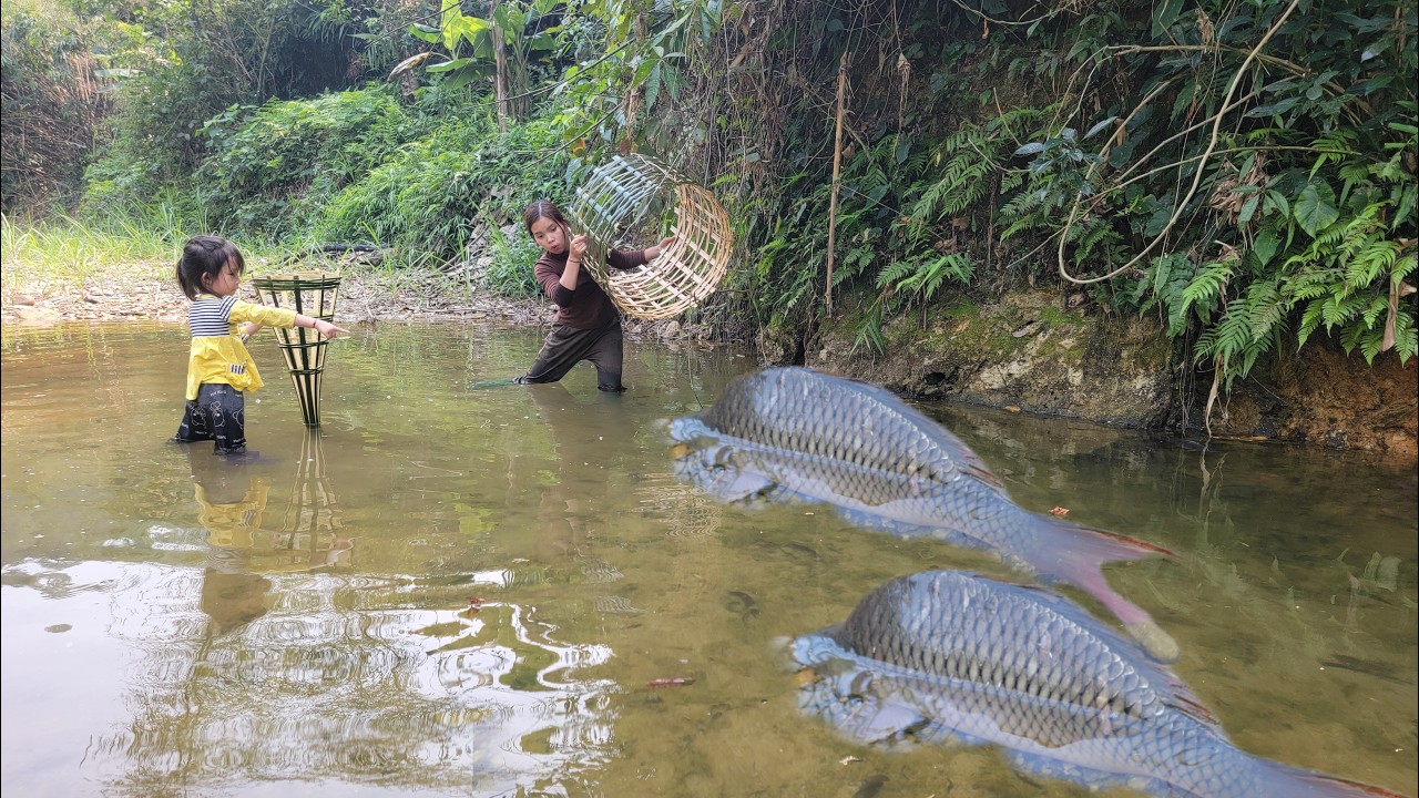 Meet the giant fish in a wild puddle.The girl used bamboo to weave a ...