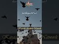 Ae Mere Palnay wale I Hamd e Bari Tala I Karachi Azadari Network I #hamd #allah #karachiazadari