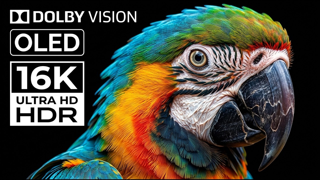 ULTRA CLARITY 8K HDR 60fps | The Ultimate Dolby Vision Demo - YouTube