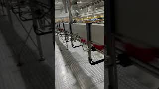 Production speed in Coca Cola Nederland #cocacola screenshot 5