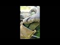 Recovery on a motorhome