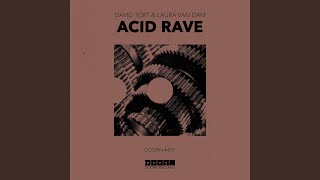 Acid Rave (Extended Mix) - David Tort, Laura van Dam