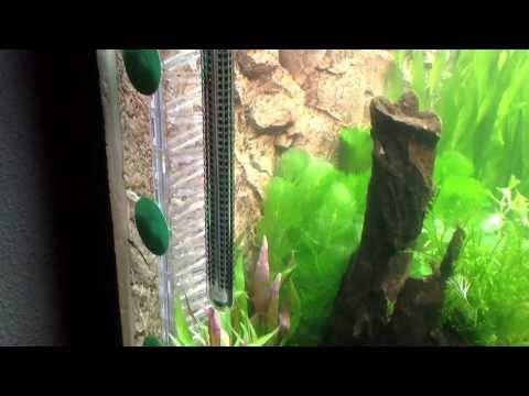 Дифузор CO2 Dennerle Maxi-Flipper реактор для акваріума до 600 літрів, видео 1