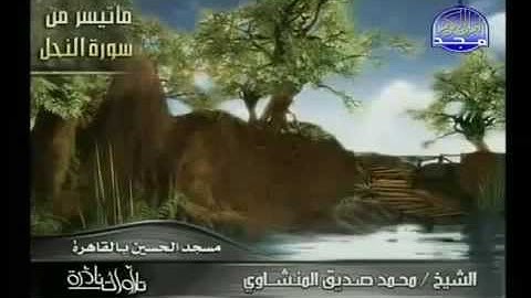 تلاوة نادرة للشيخ محمد صديق ما تيسر من سورة النحل رائعة