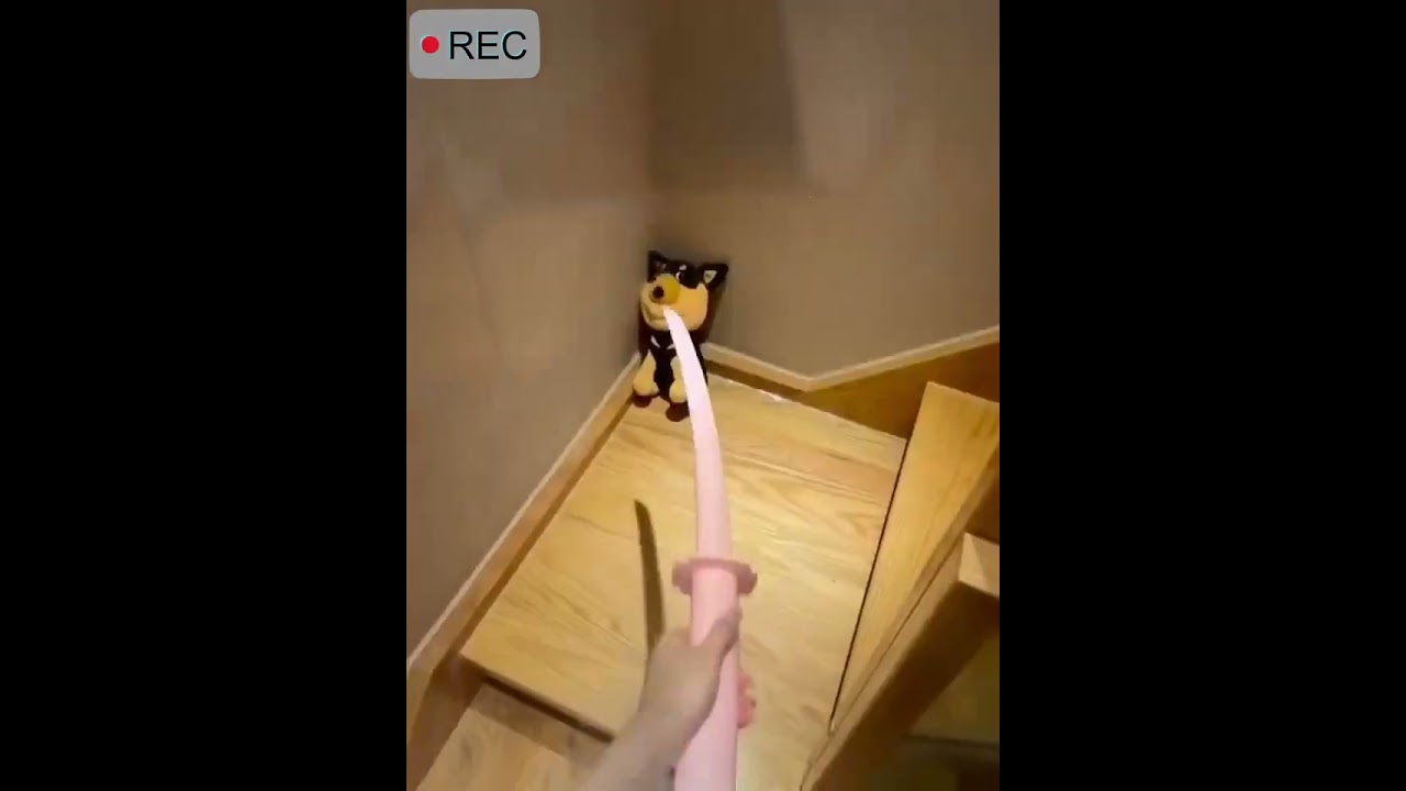 YouTube player
