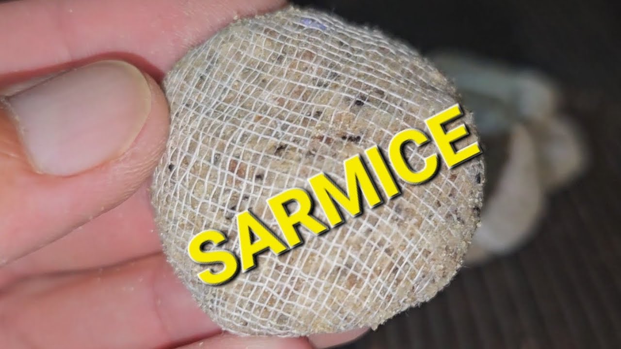 VODENI CVET-Najbolji mamac za soma(uštedi cvet sa sistemom 