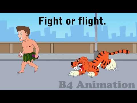 The Stress Response- Fight or Flight