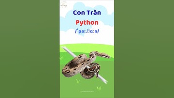Con Trăn - Học từ vựng và phát âm tiếng Anh #thaytuvuitinh