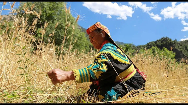 Nutrition Sensitive Agriculture - Facts