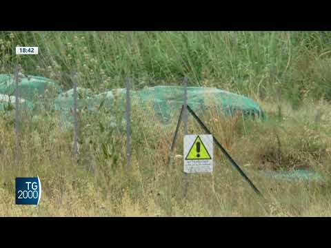 Video Liceo nel Pavese chiuso da settimane per amianto