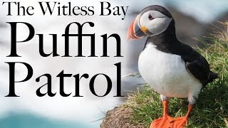 Witless Bay's Puffin & Petrel Patrol - A mini-documentary