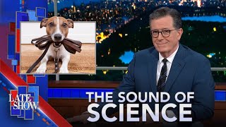 Sound of Science: “Dune” Desert Planet | Don’t Skip Your Dog’s Walk | Do Tattoos Make You Gassy?