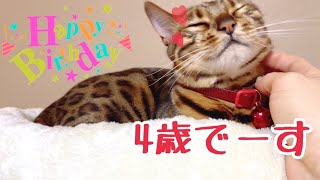 ベル様4歳の誕生日にアレをプレゼントいたしました！