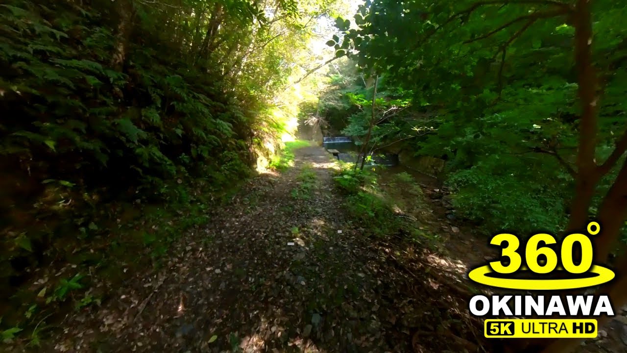 【360°ツー ADV150】大宜味村の沈砂ダム