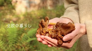 MUSHROOM PICKING | Finnish Forest Adventure | Autumn Day | Mushroom Quiche | Helsinki Vlog