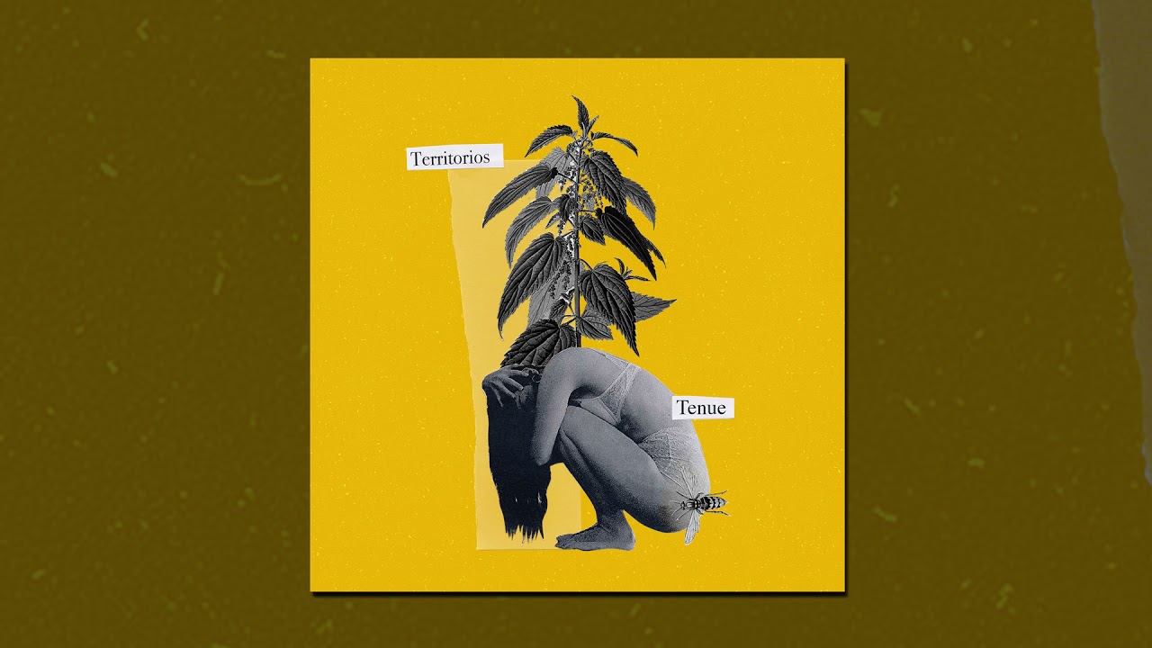 Tenue - Territorios (2021) [Full Album]