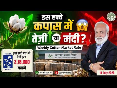इस हफ्ते कपास में तेज़ी या मंदी? 😱 CCI ने बेचीं 3.18 लाख गांठें | Weekly Cotton Market