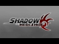 Waking Up (Looped) - Shadow the Hedgehog Music Extended