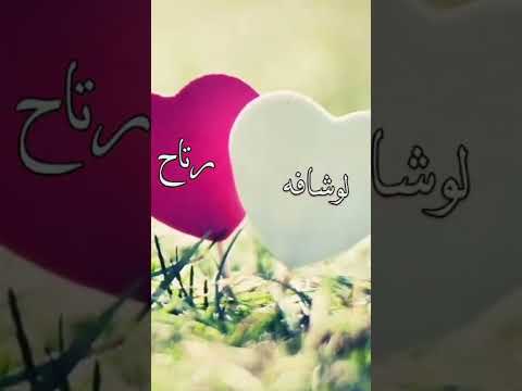 مشمش حبيبي وتفاح 