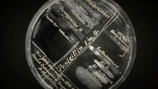 Quarks - Erfindung des Penicillin
