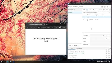 Selenium - Set Window Size Command