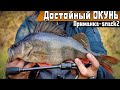 Как Ловить ОКУНЯ? 🐠ЗИМОЙ.ТОНКОСТИ РЫБАЛКИ #fishing #рыбалка #fish #carpfishing #окунь