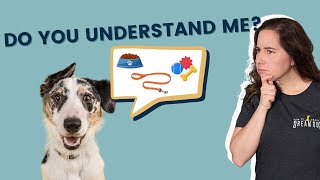 Understanding My Puppy's Cues and Behaviors