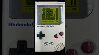 Alfred Chicken Nintendo Gameboy Alfred Chicken Nintendo Gameboy