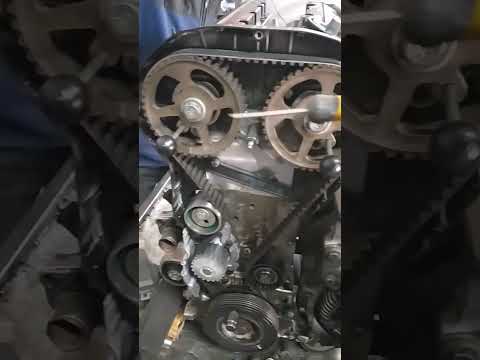 Peugeot 406 Timing Belt Replacement