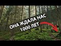 Вы не поверите что мы нашли в лесу!