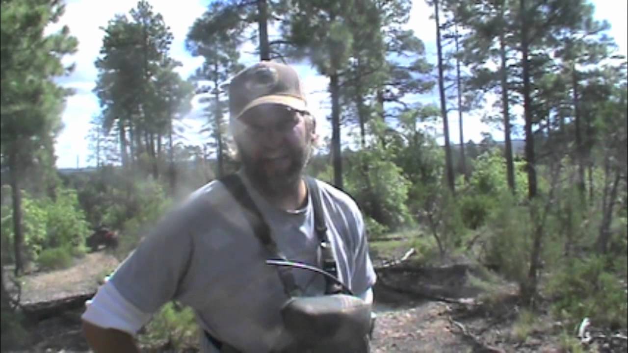 Barry's Arizona Bear Hunt, Unit 3C, 2012 YouTube