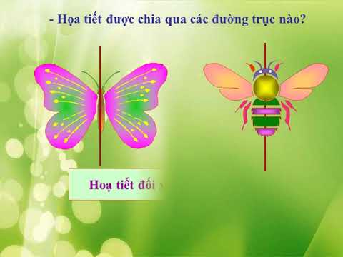 Tuần 6- K5 -Mỹ Thuật - Vẽ họa tiết
