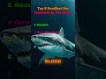 The ocean hides terrifying predators beneath the surface 🌊 #seacreatures #oceanfacts #animalfacts