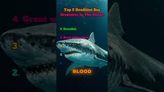 The ocean hides terrifying predators beneath the surface 🌊 #seacreatures #oceanfacts #animalfacts
