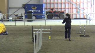 Jody Intermediate 3