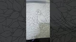 Parrot Speical Drawing With Sristy
