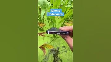 Underwater photography 😱|iphone 14 promax #youtubeshorts #underwater #iphone